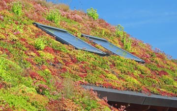 Fetcham living roof systems