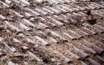 Fetcham roof cleaning companies